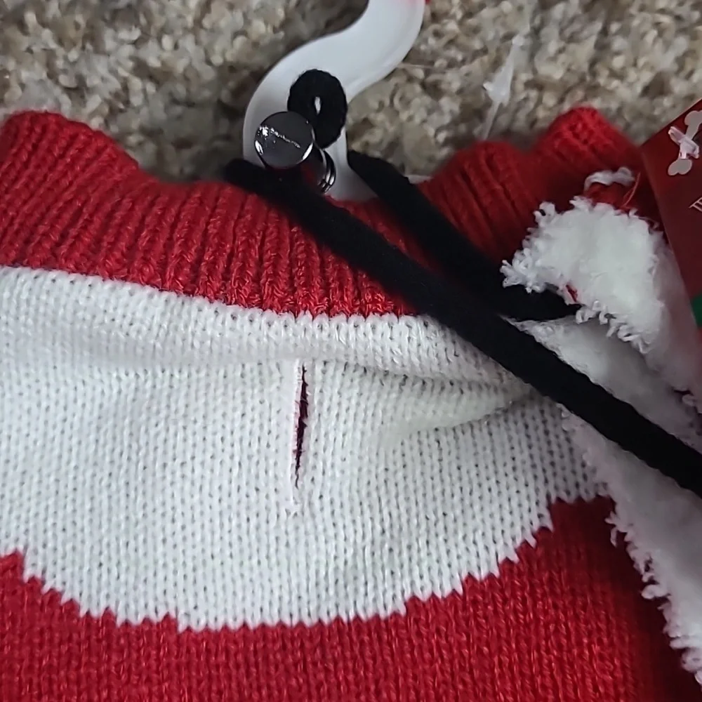 Red Santa Pet Sweater with Hat
